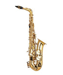 Festivo 1AS Alto Saxophone - Package