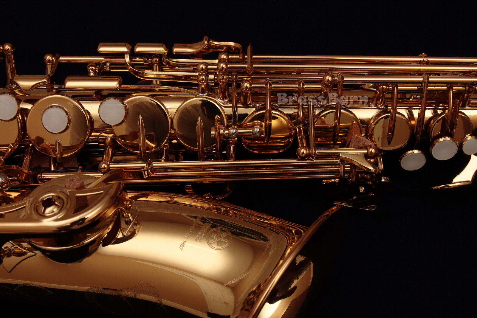 Exploring the Full Range: Alto, Tenor, Soprano, and Baritone Saxophone