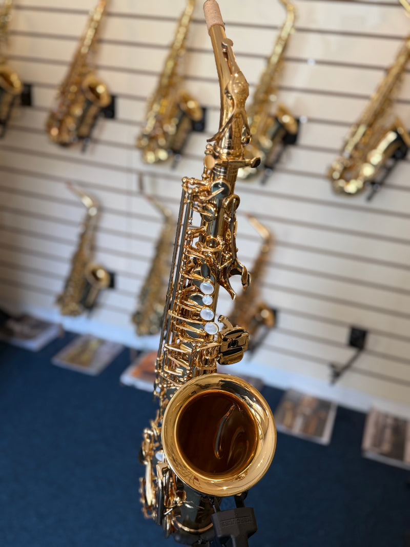 Trevor James EVO Alto Saxophone