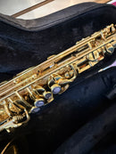 Trevor James ‘The Horn’ Alto Saxophone pre-owned