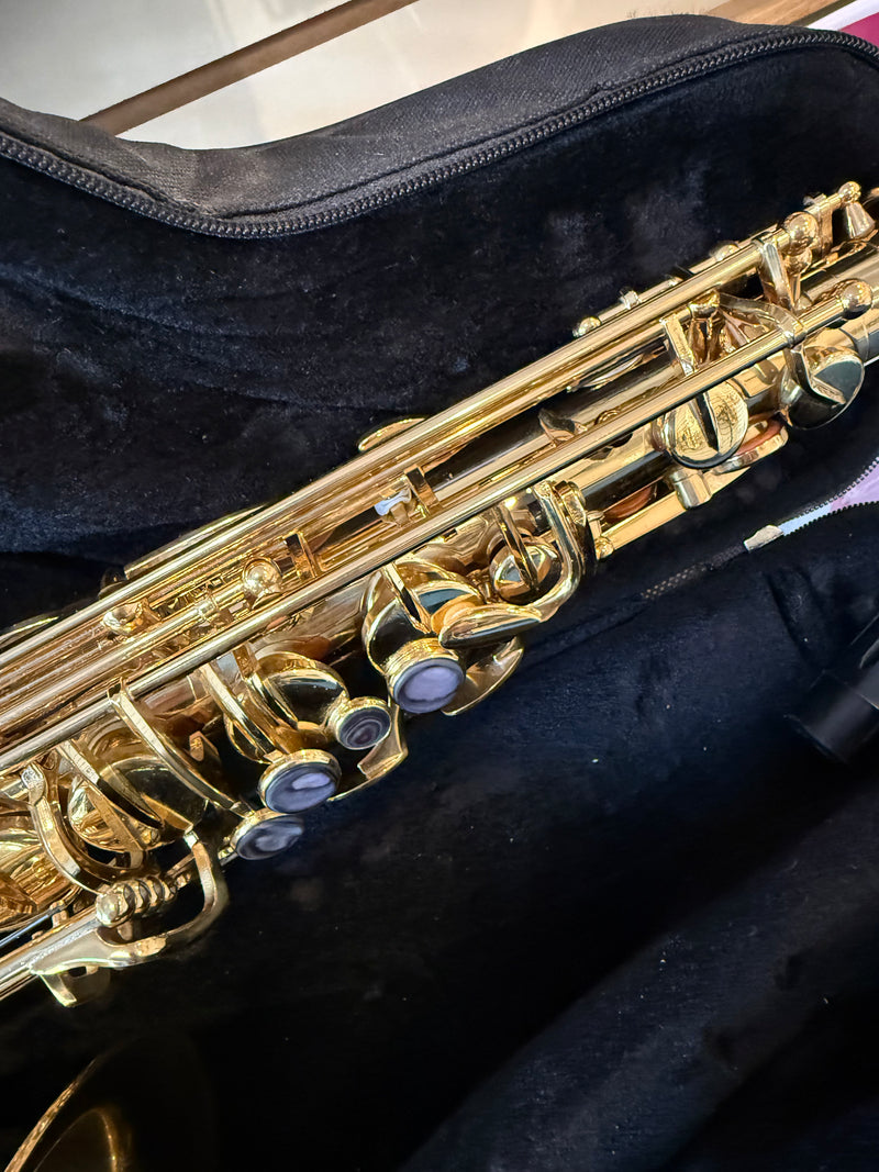Trevor James ‘The Horn’ Alto Saxophone pre-owned