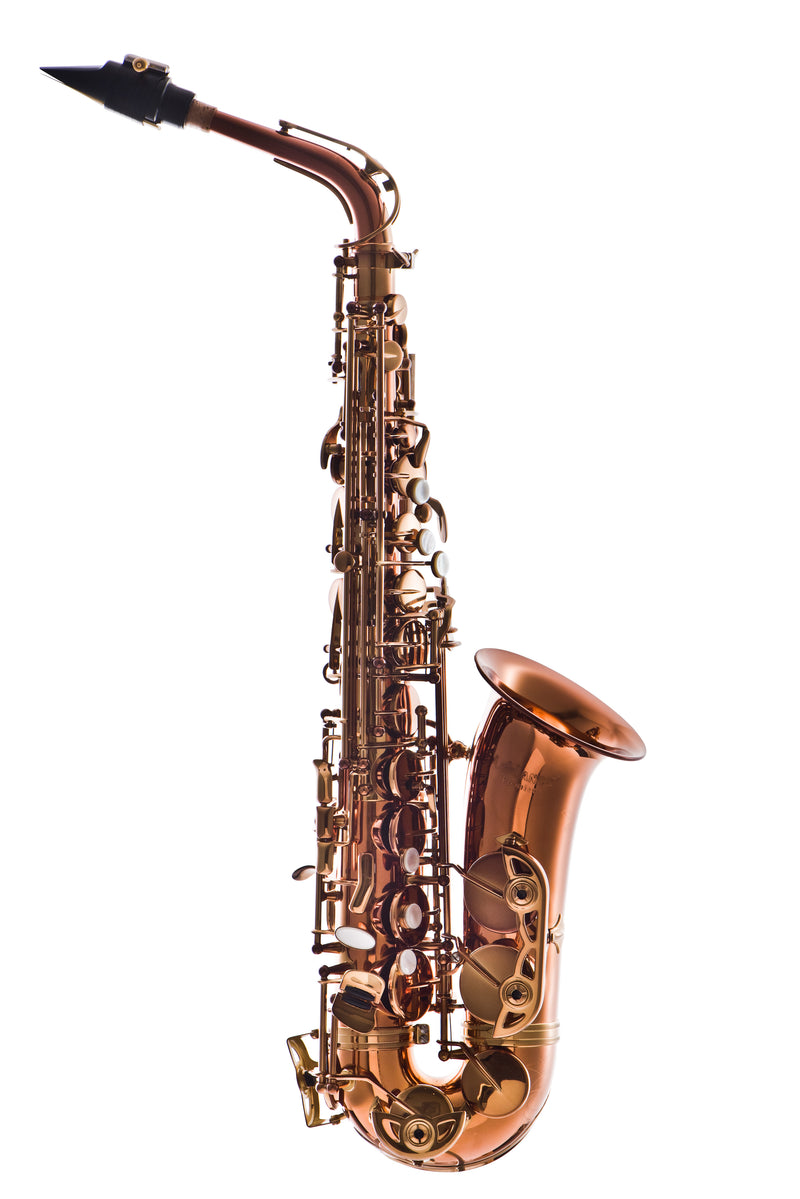 Leblanc LAS711 Professional Alto Saxophone