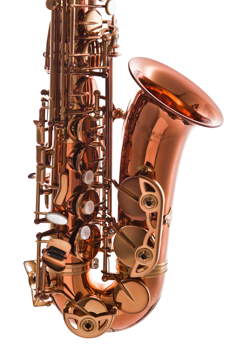 Leblanc LAS711 Professional Alto Saxophone