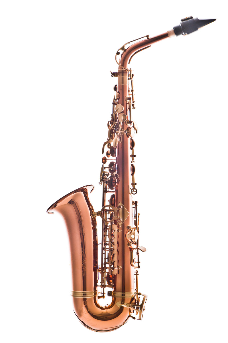 Leblanc LAS711 Professional Alto Saxophone