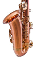 Leblanc LAS711 Professional Alto Saxophone