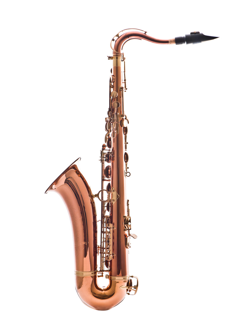 Leblanc LTS711 Professional Tenor Saxophone