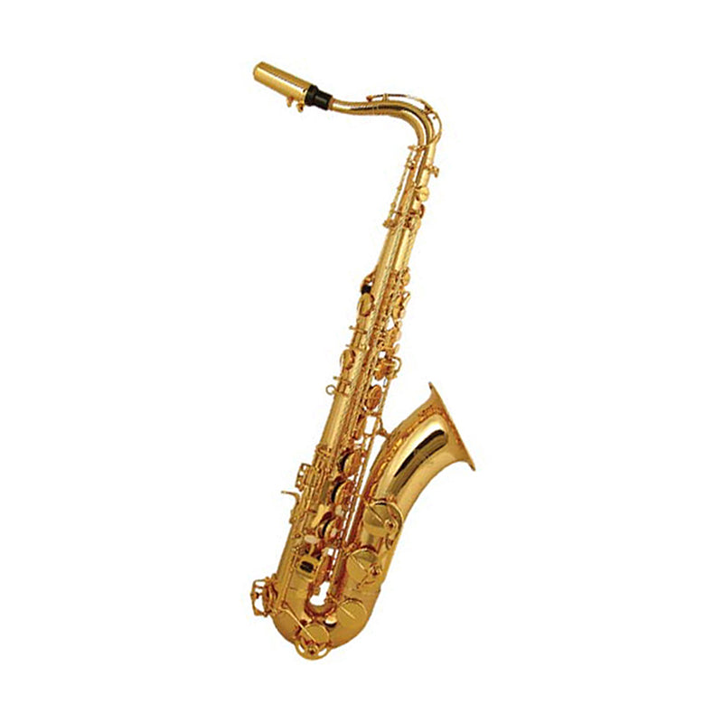 Elkhart 100TS Tenor Saxophone