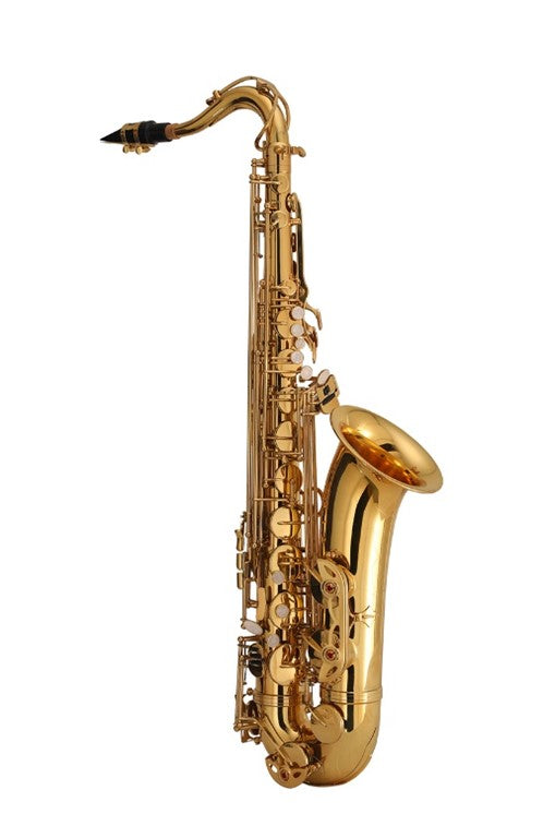 Festivo 1TS Tenor Saxophone Package
