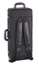 Yanagisawa AWO1 Alto Sax - Lacquer